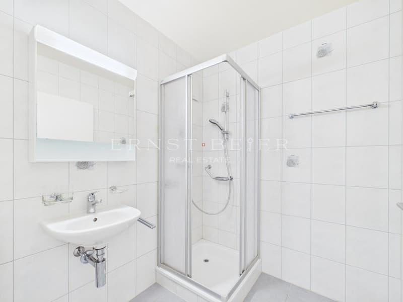 Bel appartement dans un quartier calme et résidentiel (4)
