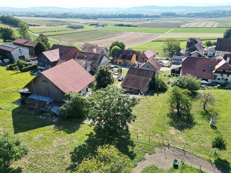 DJI_0013.JPG
