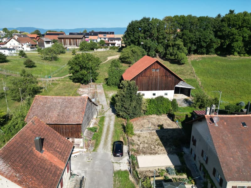 DJI_0010.JPG
