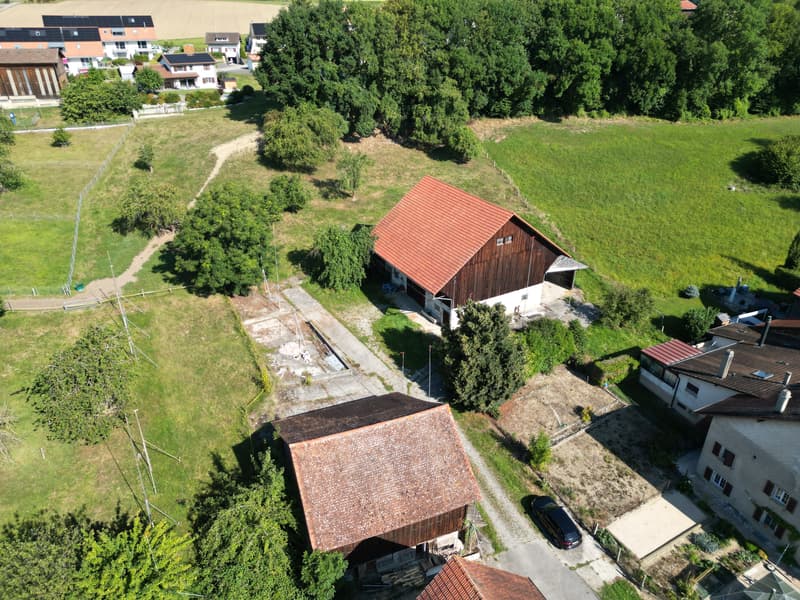Drone 3.JPG