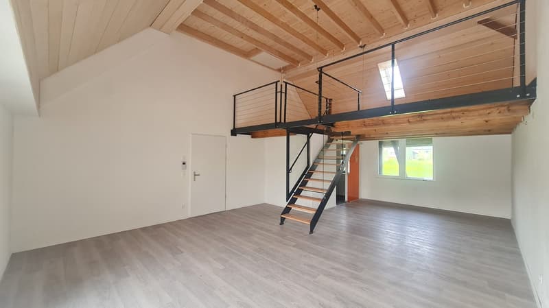 Appartamento loft unico in un progetto di housing in cluster innovativo in affitto (3)