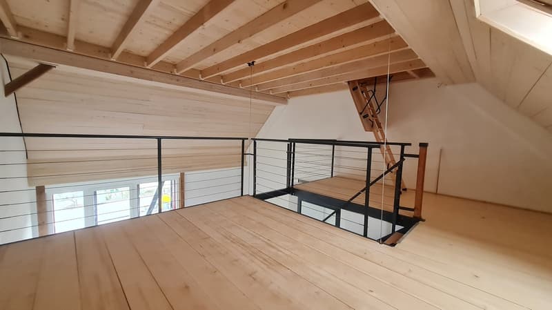 Appartamento loft unico in un progetto di housing in cluster innovativo in affitto (4)