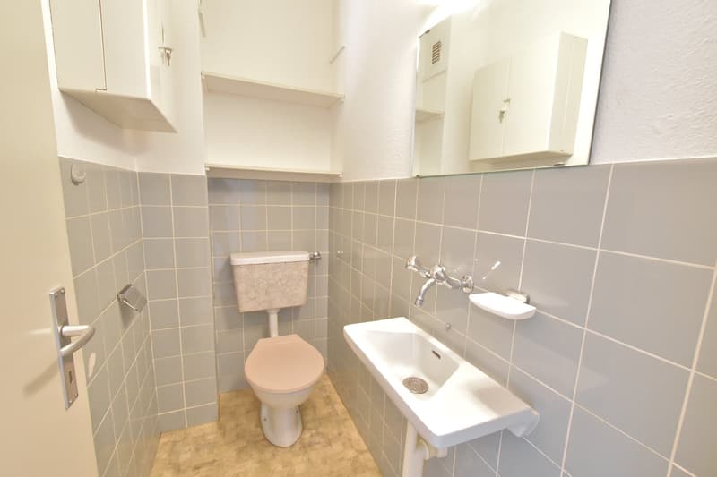 Tiled walls, white sink, toilet, mirror, cabinets, silver faucet, wooden flooring