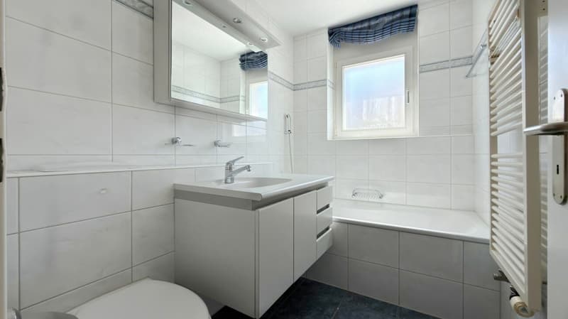 Appartement lumineux et calme avec vue sur les Alpes et salle de lavage/loisirs privée (10)