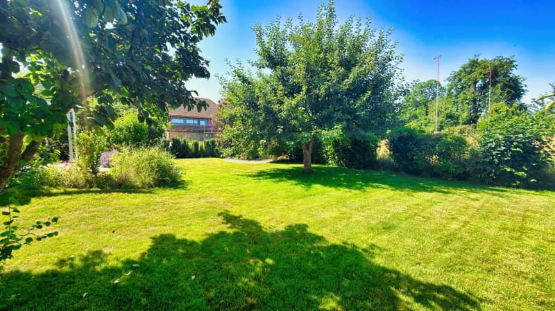 A house with soul - historic, sunny and versatile (4)