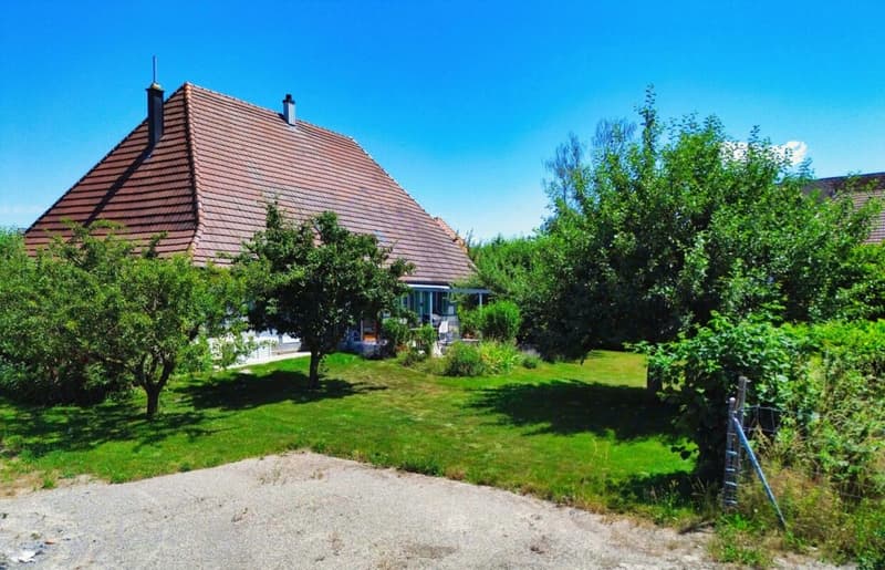 A house with soul - historic, sunny and versatile (2)