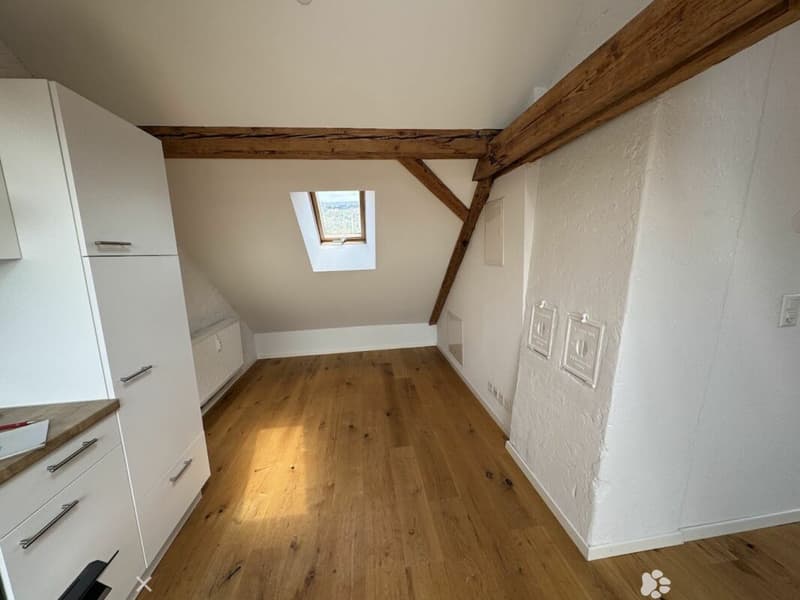 Sonnige Dachwohnung mit Sichtbalken und besonderem Charme (2)