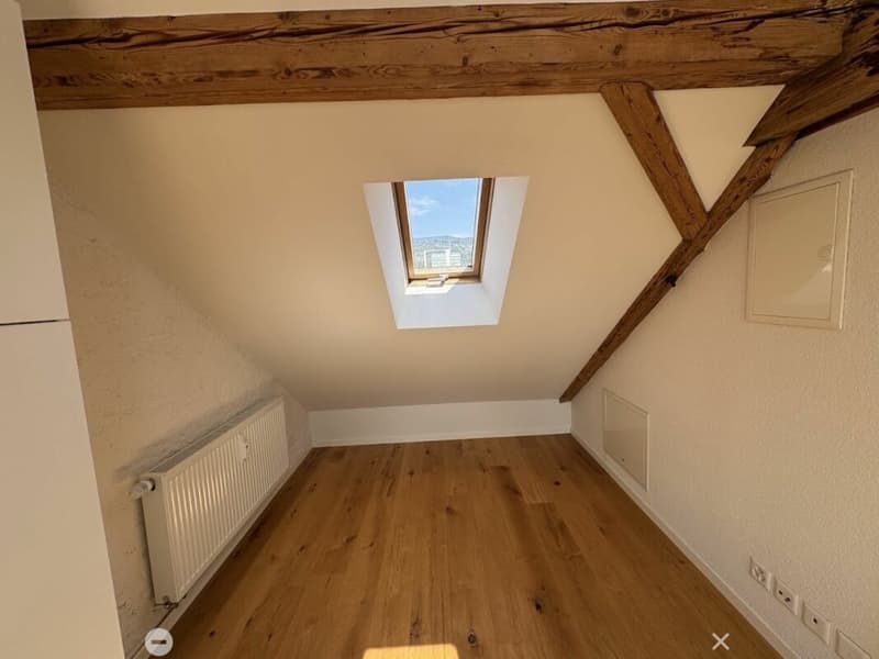 Sonnige Dachwohnung mit Sichtbalken und besonderem Charme (6)