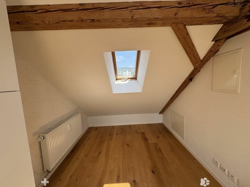 Sonnige Dachwohnung mit Sichtbalken und besonderem Charme (6)