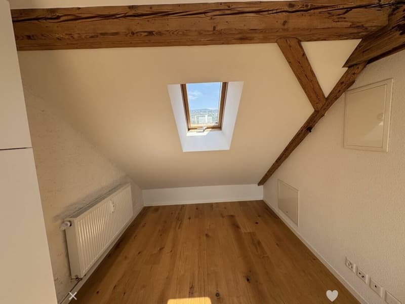 Sonnige Dachwohnung mit Sichtbalken und besonderem Charme (6)