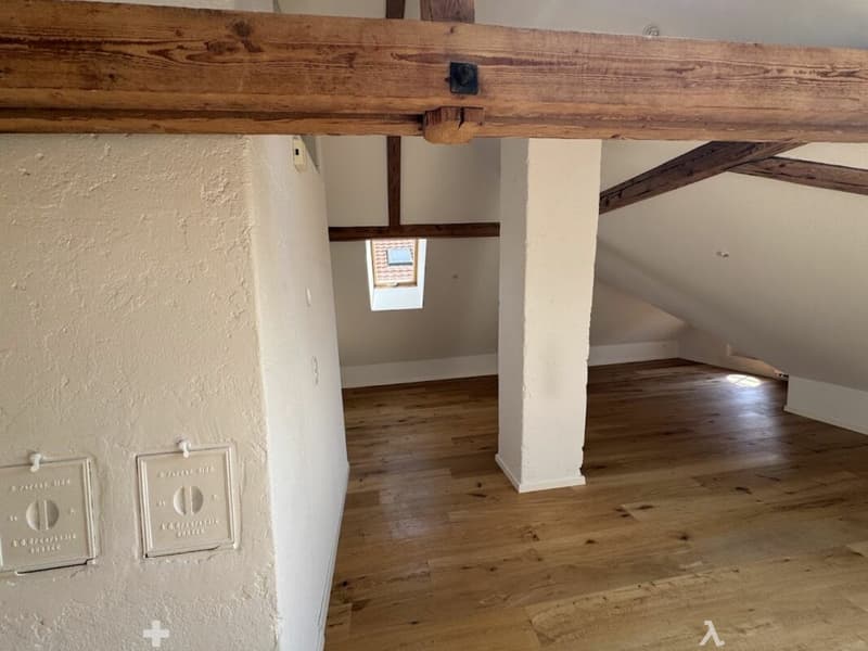 Sonnige Dachwohnung mit Sichtbalken und besonderem Charme (4)