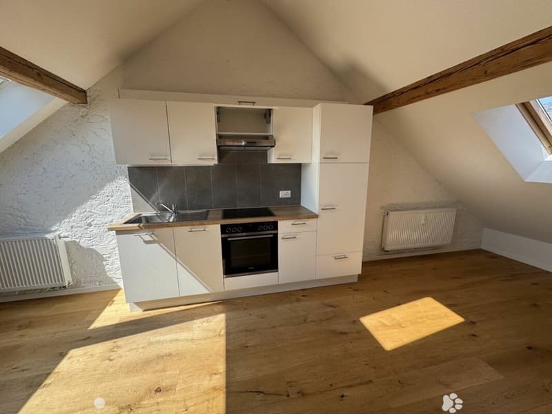 Sonnige Dachwohnung mit Sichtbalken und besonderem Charme (3)