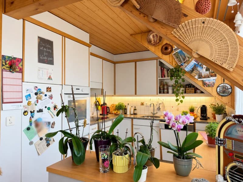 Charmante Dachwohnung mit Cheminée, grossem Balkon und Weitsicht (5)