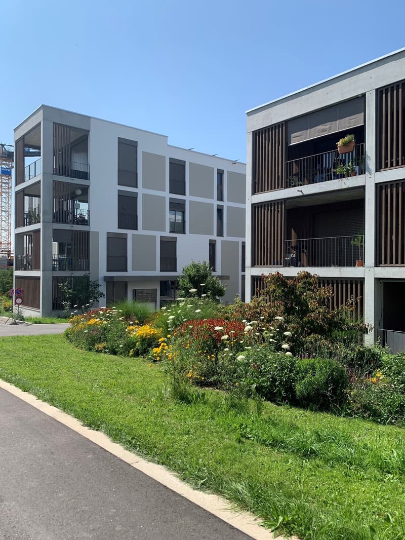 Two apartment buildings, grey concrete walls, balconies, landscaped garden, paved road, green grass, flowers, construction crane nearby