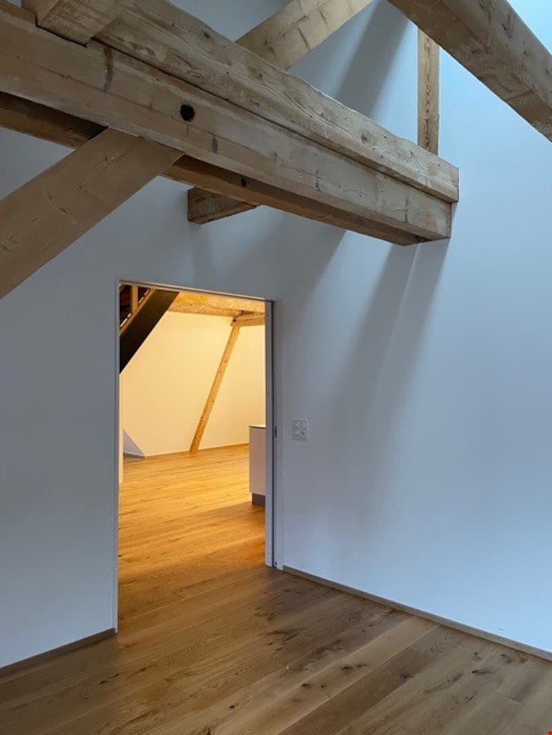 Appartement de galerie unique à Bern Breiternrain (11)