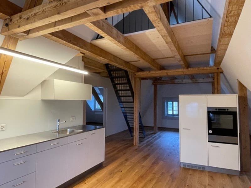Appartement de galerie unique à Bern Breiternrain (2)