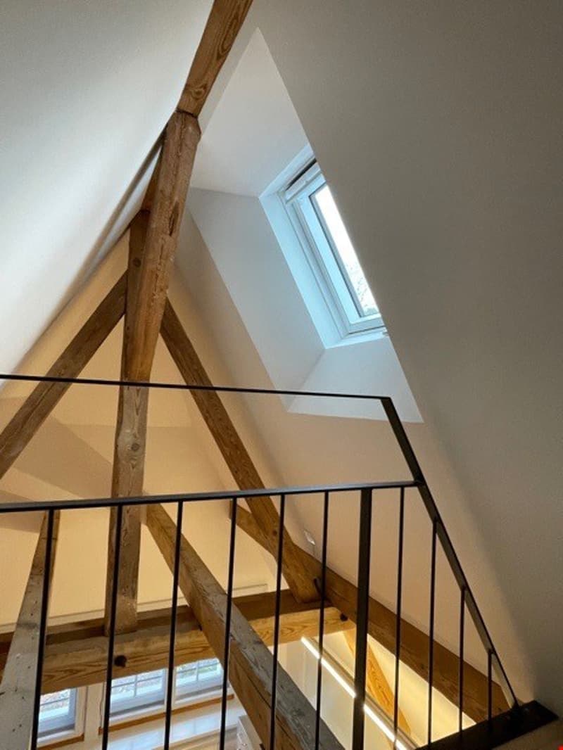 Appartement de galerie unique à Bern Breiternrain (5)