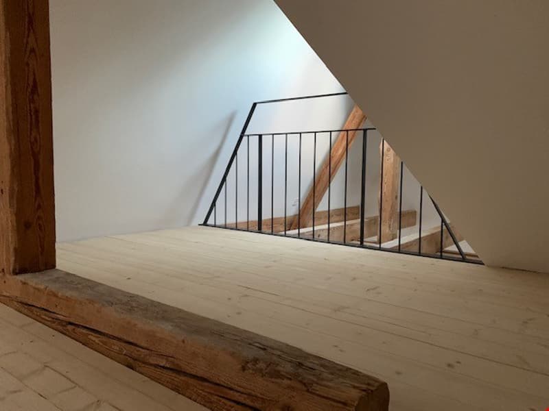 Appartement de galerie unique à Bern Breiternrain (4)