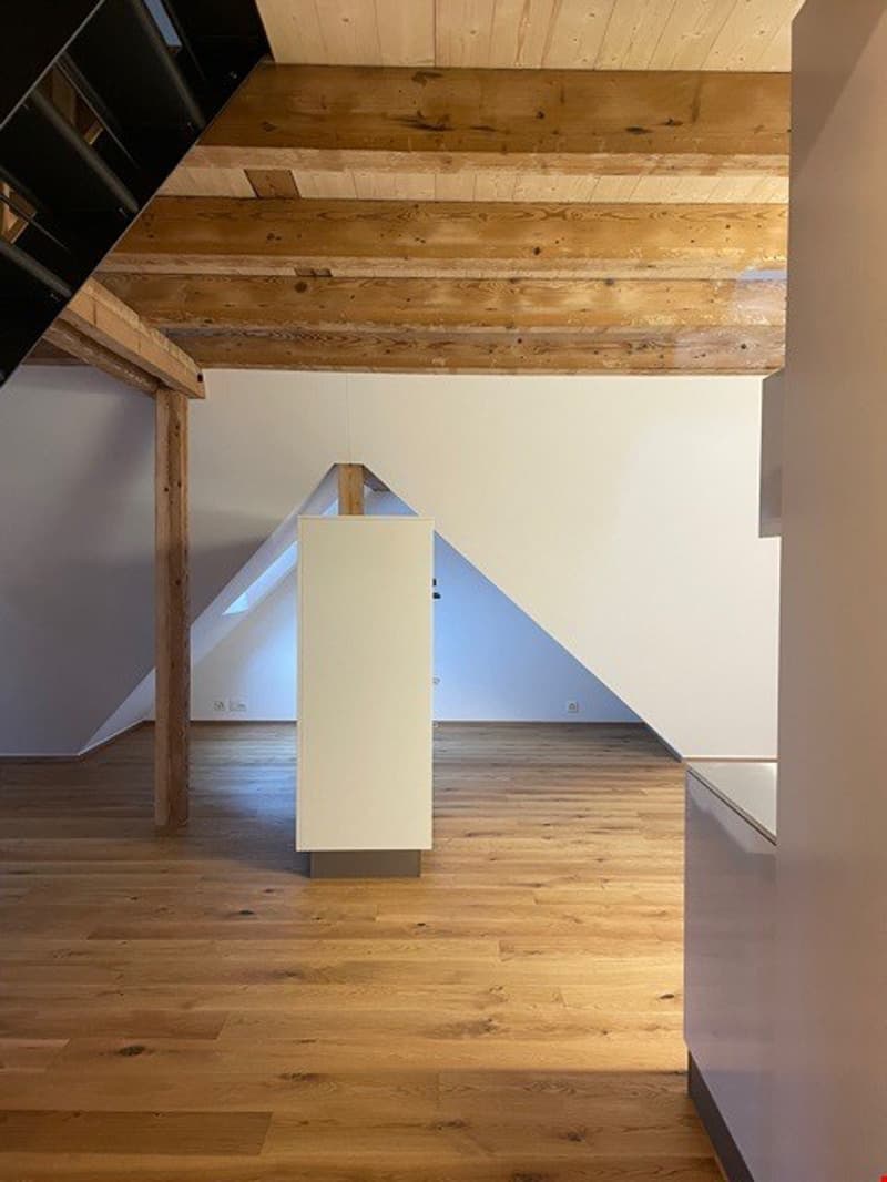 Appartement de galerie unique à Bern Breiternrain (6)