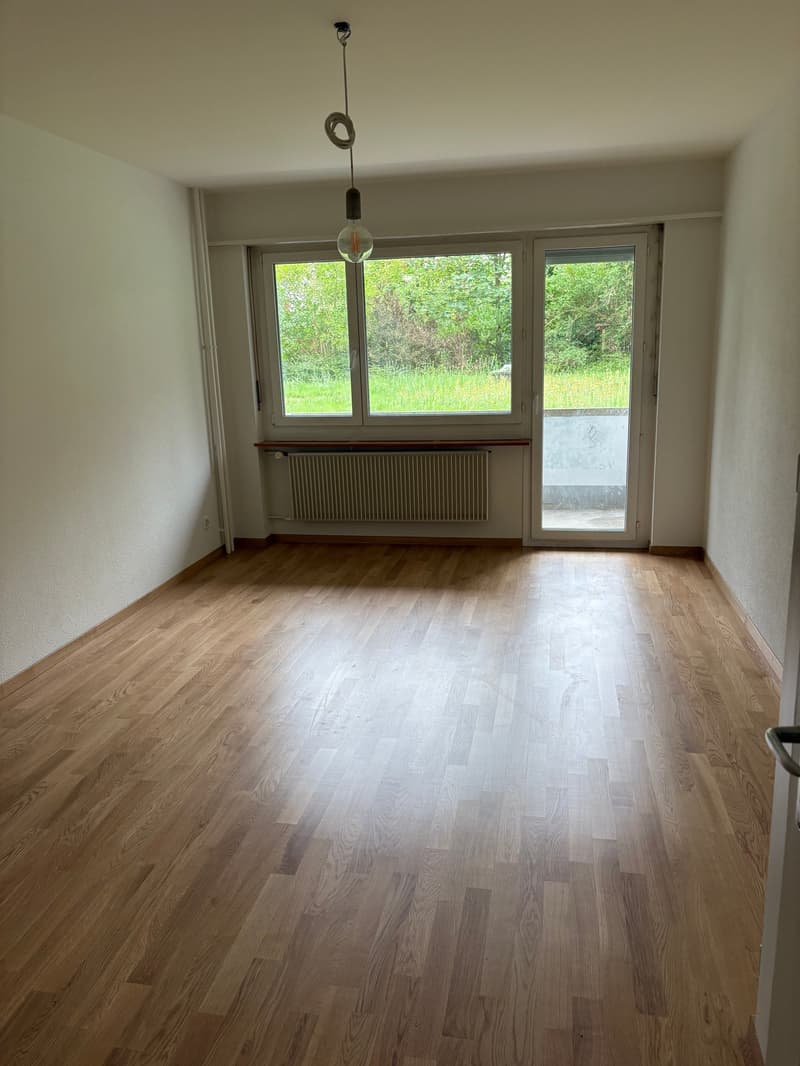 Bern Breitenrain - Appartement pour une personne (4)
