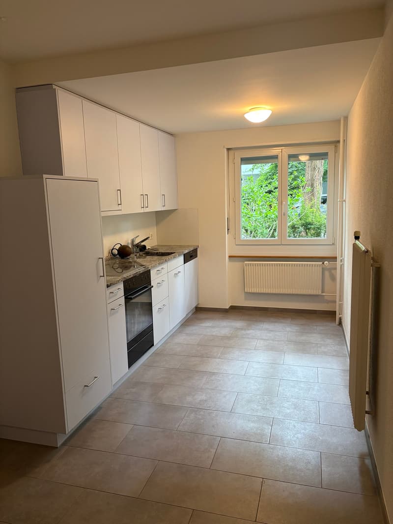 Bern Breitenrain - Appartement pour une personne (2)