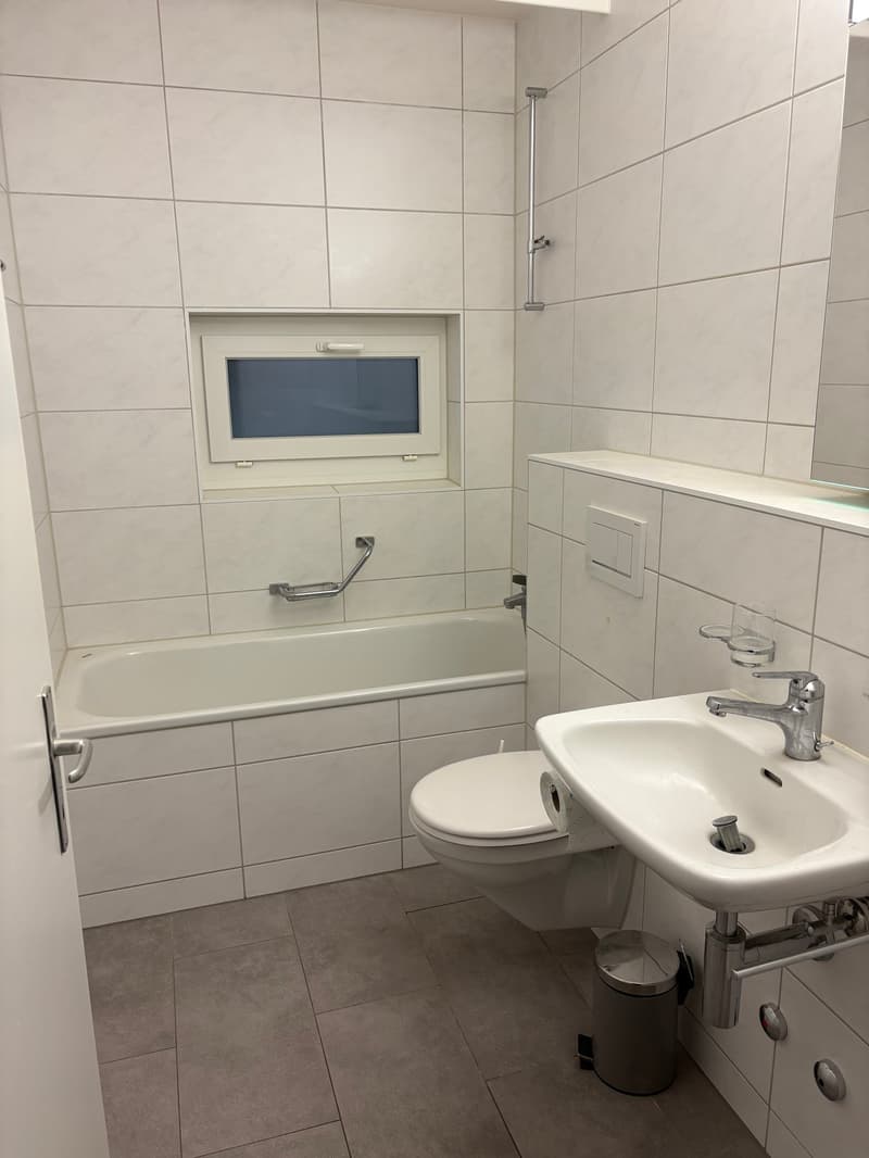 Bern Breitenrain - Appartement pour une personne (6)