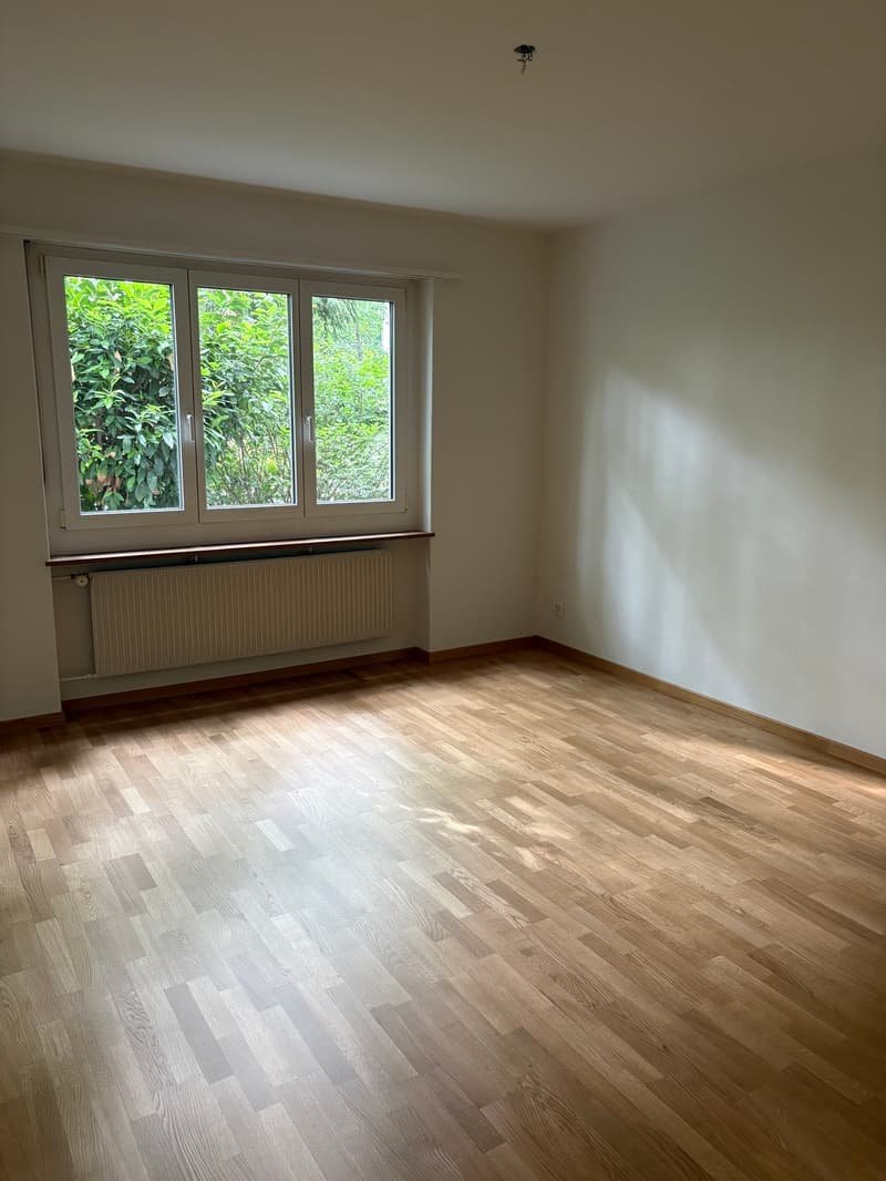 Bern Breitenrain - Appartement pour une personne (5)