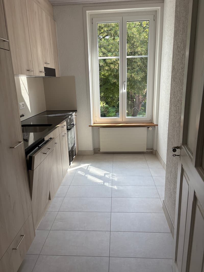Delizioso appartamento di 3 camere a Berna con balcone (3)