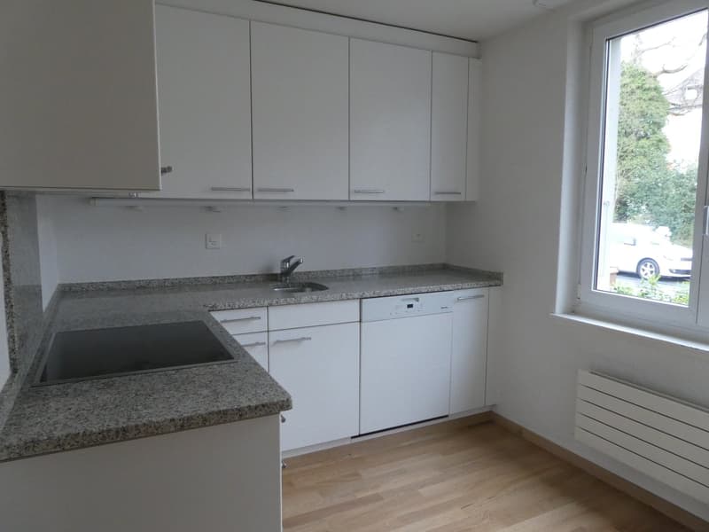 Bern Egghölzli - 3-room apartment with open living and dining area (2)