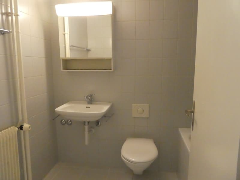 Bern Egghölzli - 3-room apartment with open living and dining area (8)