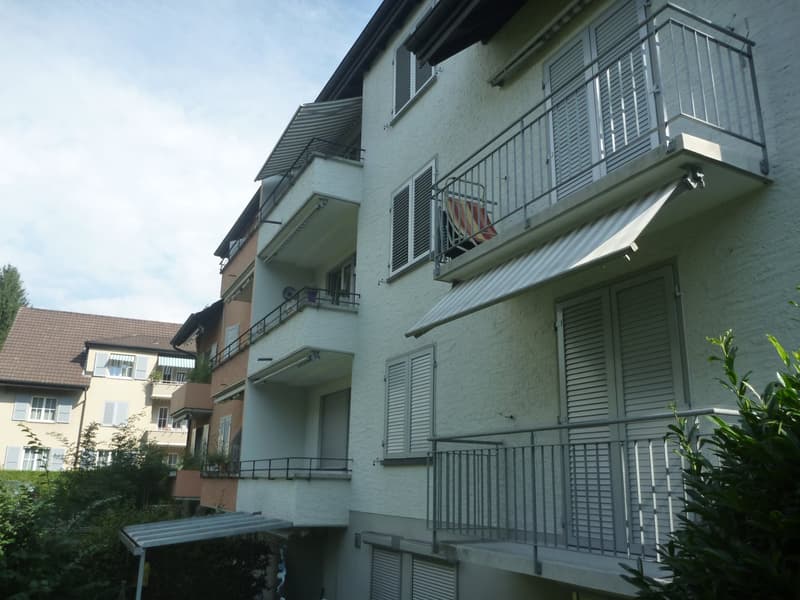 Bern Egghölzli - 3-room apartment with open living and dining area (9)
