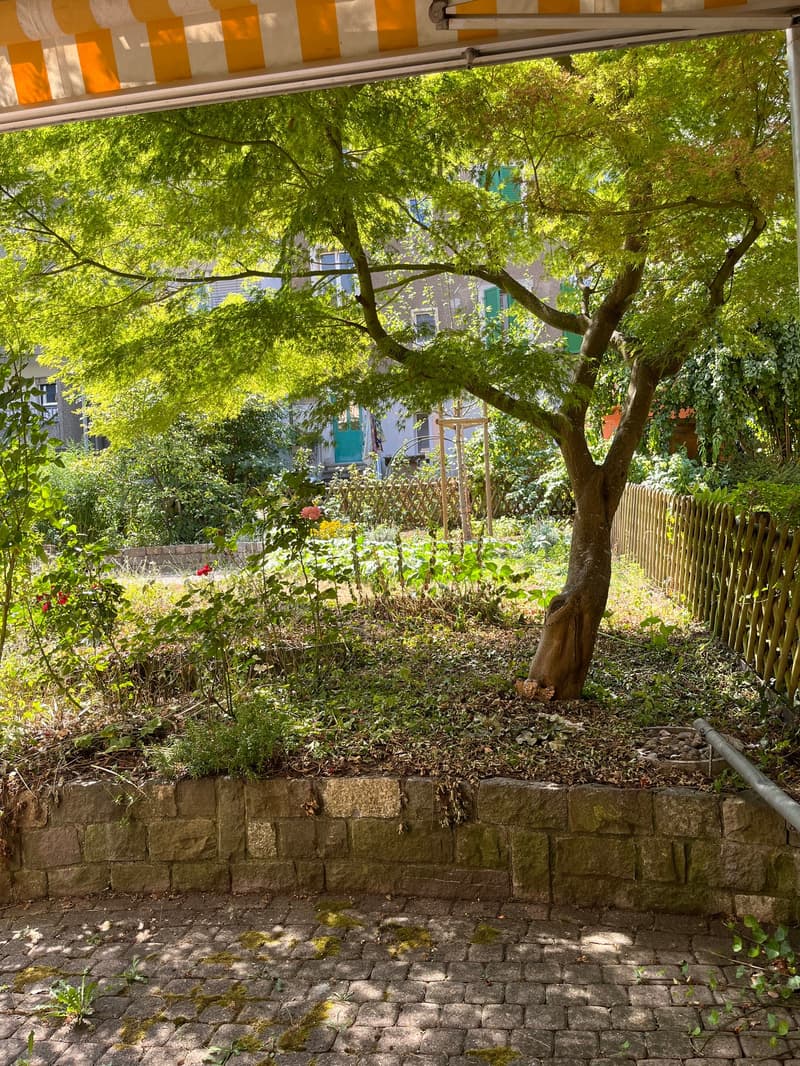 Bern - 4-Zimmerwohnung mit Gartensitzplatz im beliebten Mattenhof (1)