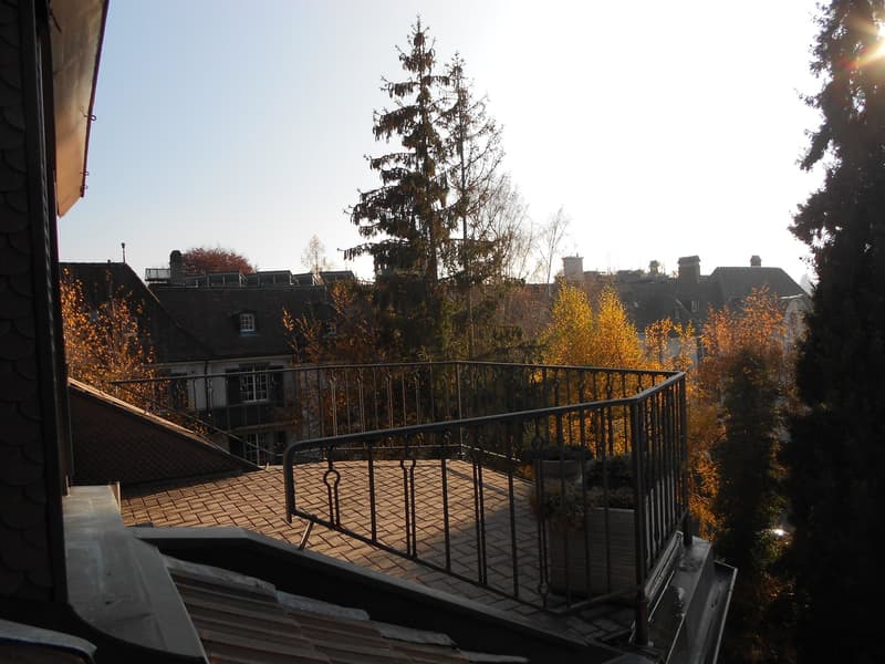 Bern Brunnadern - Dachwohnung (1)