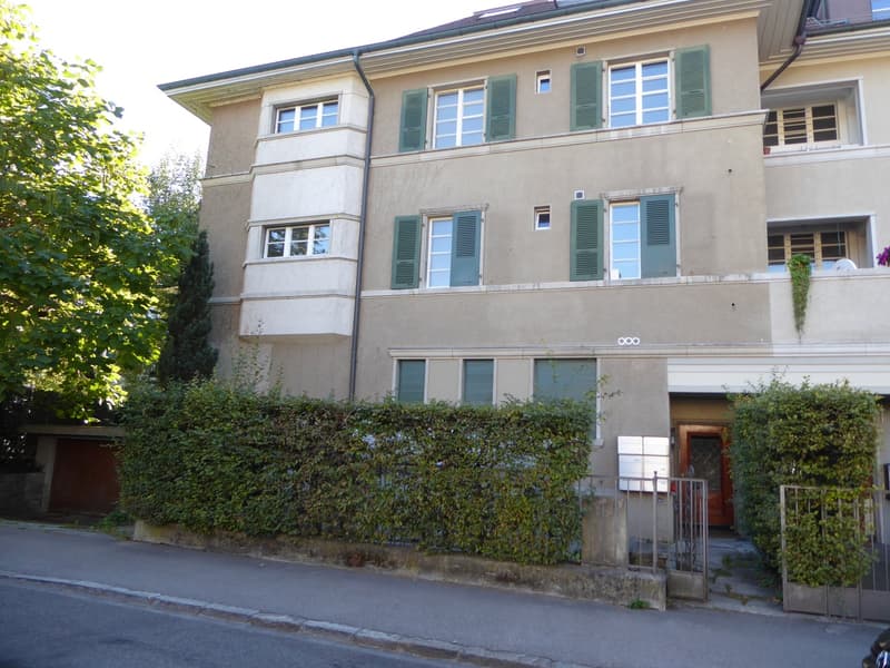 Bern Brunnadern - Dachwohnung (10)