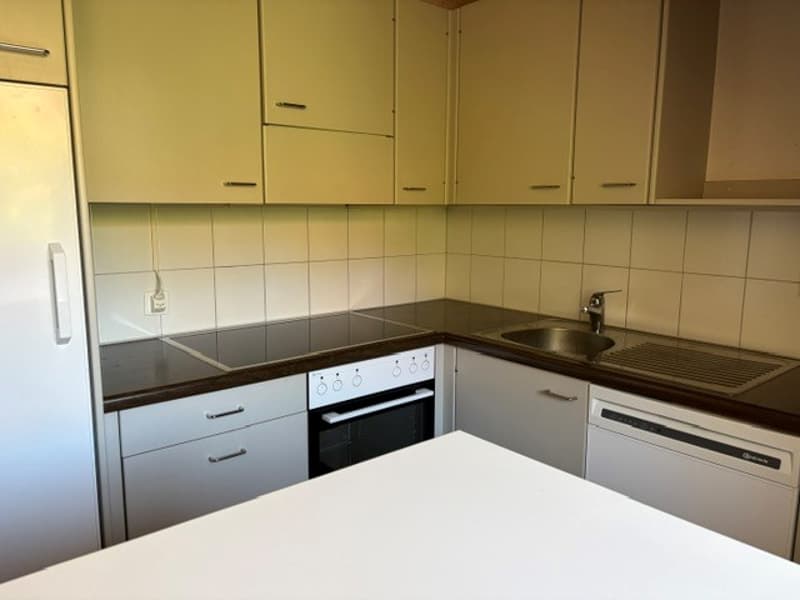 Bern Lorraine - charmante 2-Zimmer-Dachwohnung (4)