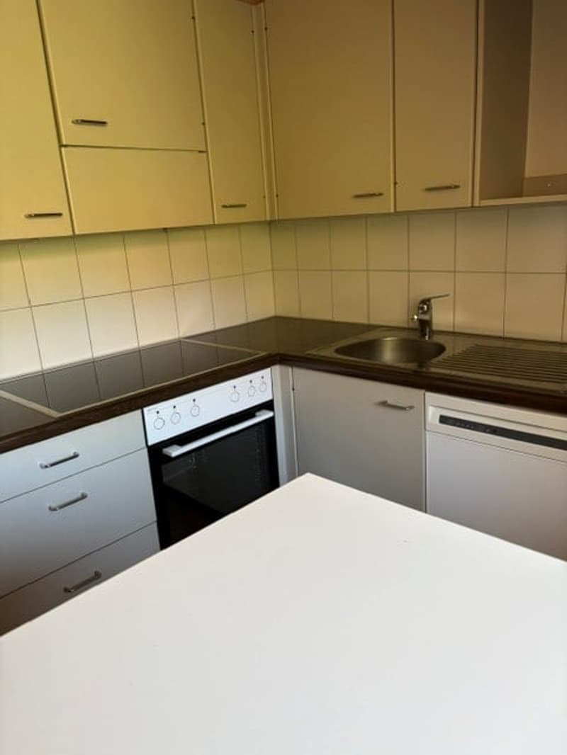 Bern Lorraine - charmante 2-Zimmer-Dachwohnung (3)