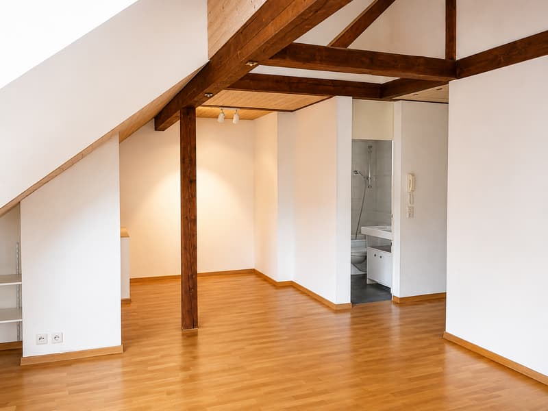 Bern Lorraine - charmante 2-Zimmer-Dachwohnung (1)