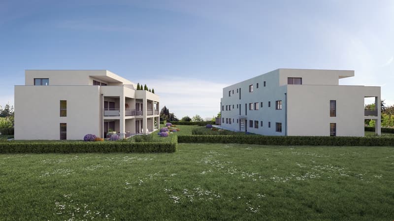 Appartamento moderno 3.5 locali in mansarda a Deitingen – disponibile per affitto da luglio 2026 (1)