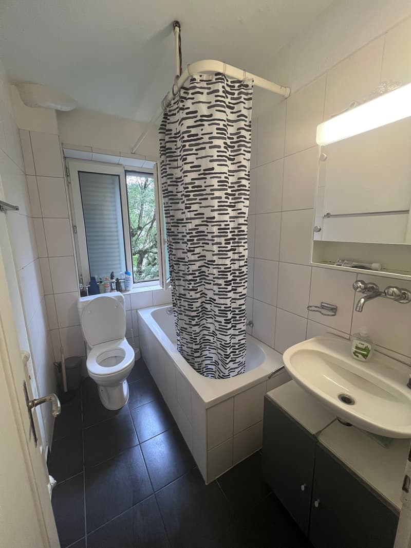 Appartement de 4 pièces lumineux sur Baslerstrasse à Olten (3)