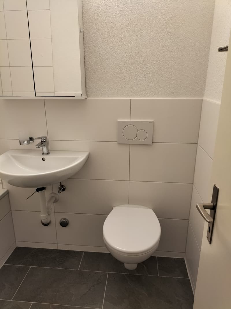 Appartamento 3,5 locali nel centro di Olten (1)