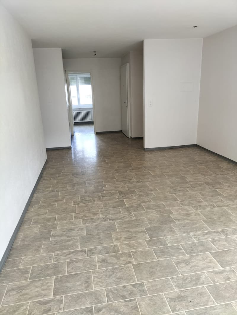 Appartamento 3,5 locali nel centro di Olten (4)