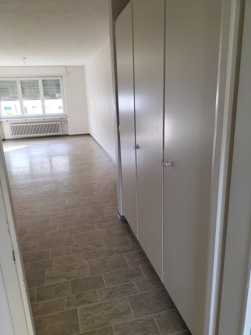 Appartamento 3,5 locali nel centro di Olten (3)
