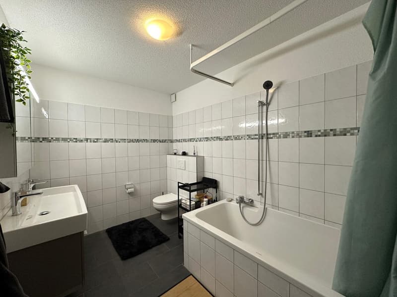 Appartement spacieux avec charme de ferme (4)