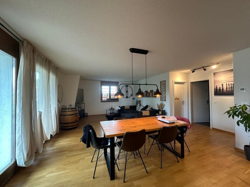 Appartement spacieux avec charme de ferme (5)