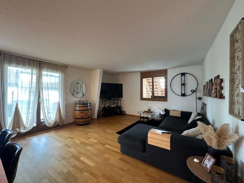 Appartement spacieux avec charme de ferme (2)