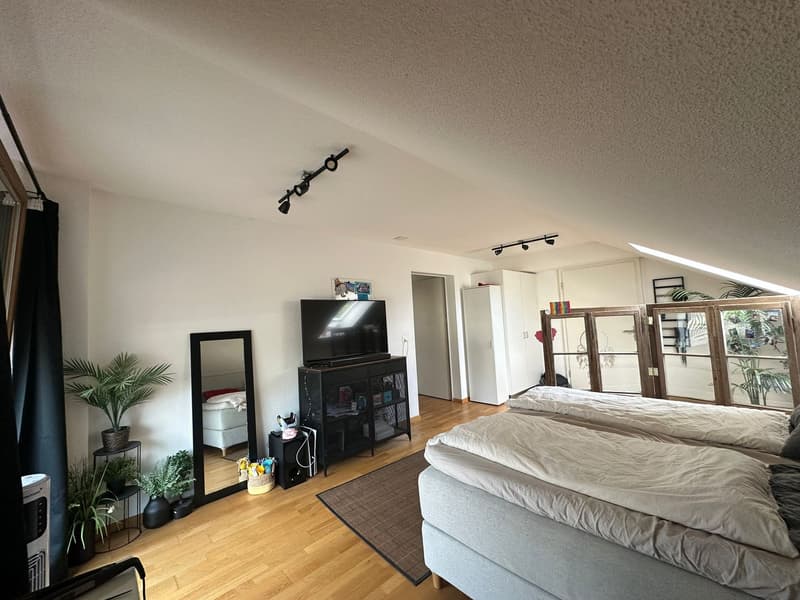 Appartement spacieux avec charme de ferme (6)
