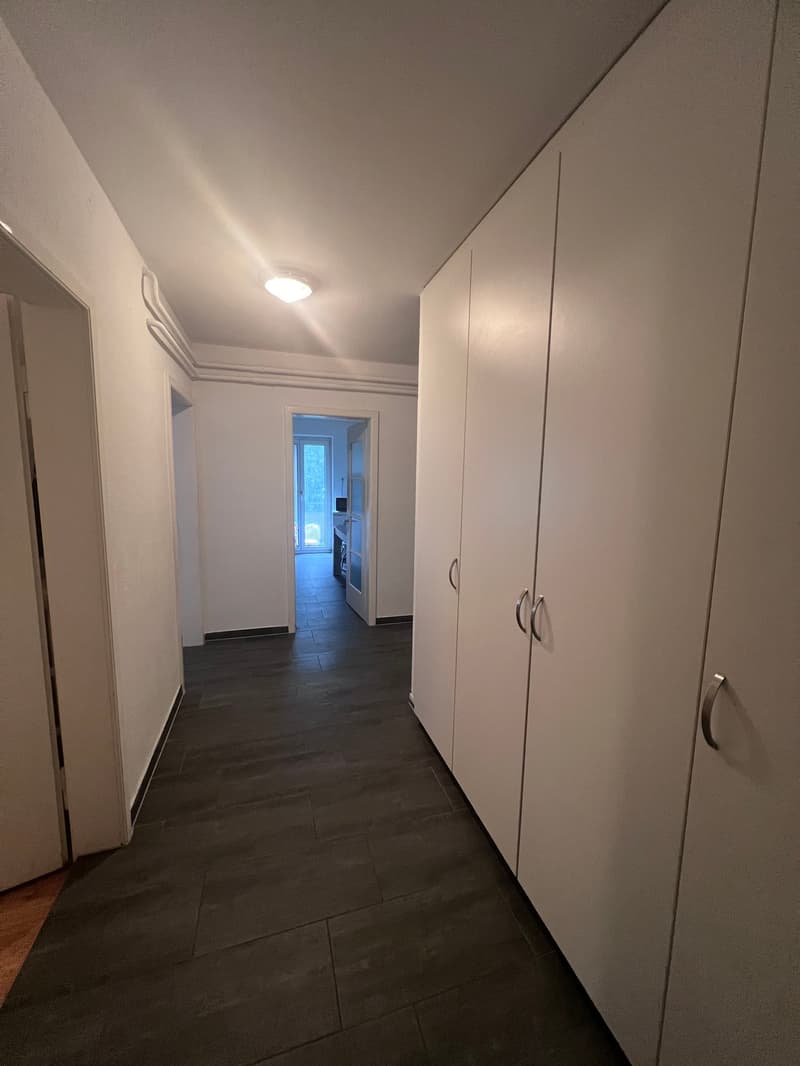 Helle 4-Zimmer-Wohnung an der Baslerstrasse in Olten (2)