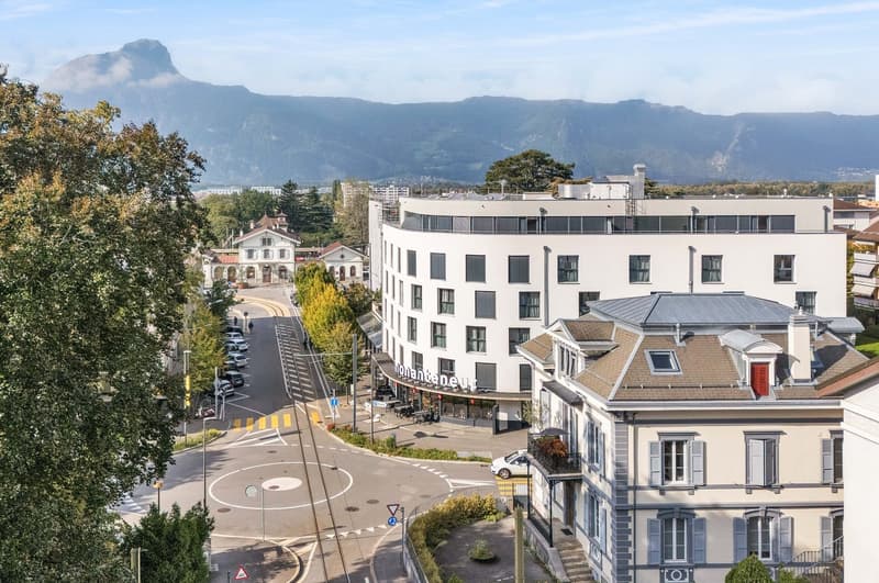 Modern fully furnished studio in Aigle (11)