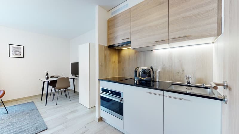 open kitchen with a countertop, sink, integrated dishwasher and washing machine, oven, refrigerator, worktop, dining table with chairs, picture frame, rug