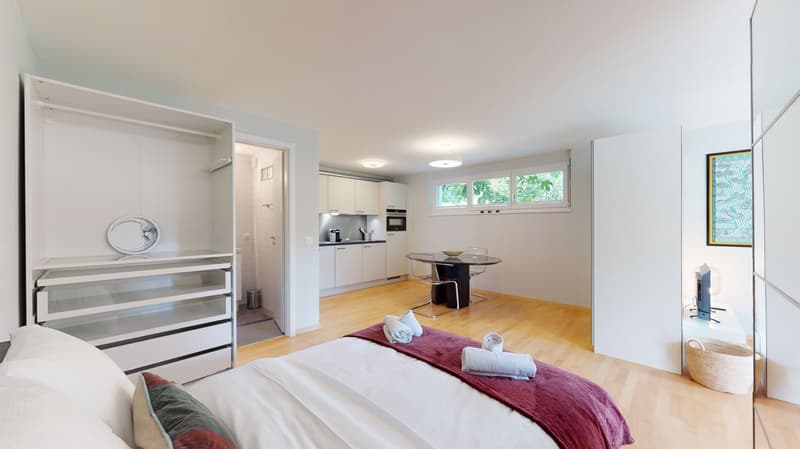 Studio spazioso in un quartiere pacifico a Sierre - Disponibile tra 3 e 6 mesi (5)